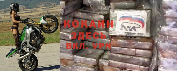 дживик Алексин