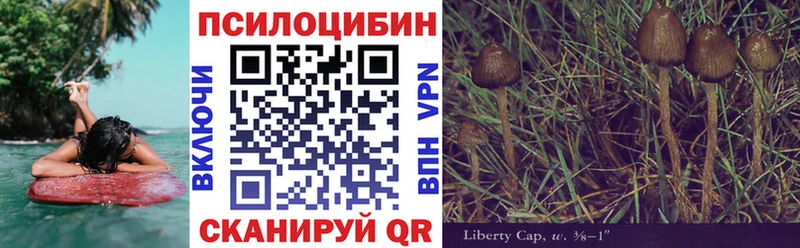 площадка как зайти  Навашино  Галлюциногенные грибы MAGIC MUSHROOMS 